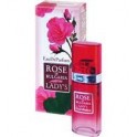 Eau de Parfum Lady's Rose - 25ml